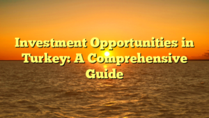 Investment Opportunities in Turkey: A Comprehensive Guide